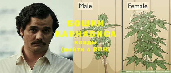 мяу мяу мука Новодвинск