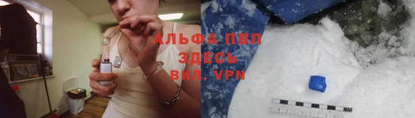 трава Новозыбков