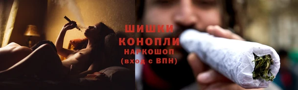 трава Новозыбков