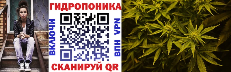 Купить где  Сургут  Бошки марихуана ГИДРОПОН 